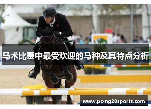 马术比赛中最受欢迎的马种及其特点分析
