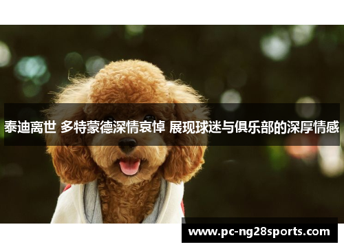 泰迪离世 多特蒙德深情哀悼 展现球迷与俱乐部的深厚情感