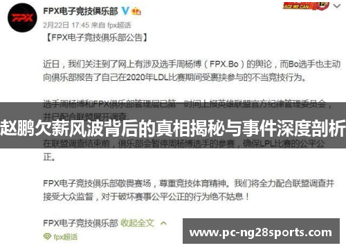 赵鹏欠薪风波背后的真相揭秘与事件深度剖析