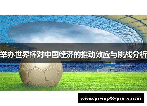 举办世界杯对中国经济的推动效应与挑战分析