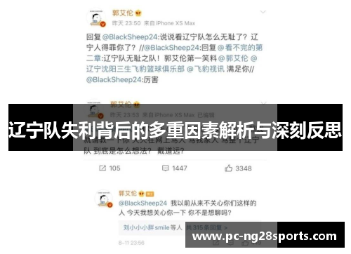 辽宁队失利背后的多重因素解析与深刻反思