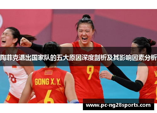 陶菲克退出国家队的五大原因深度剖析及其影响因素分析