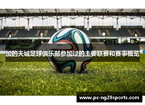 加的夫城足球俱乐部参加过的主要联赛和赛事概览