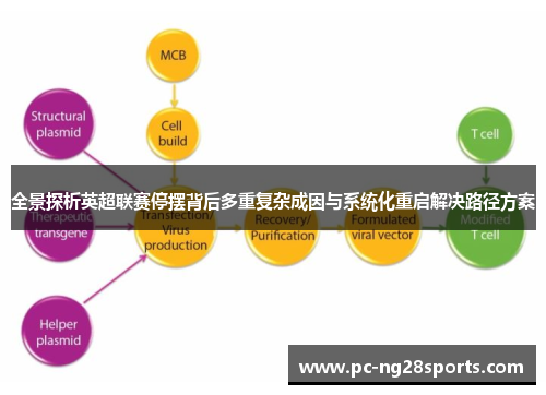 全景探析英超联赛停摆背后多重复杂成因与系统化重启解决路径方案 全景探析英超联赛停摆背后多重复杂成因与系统化重启解决路径方案