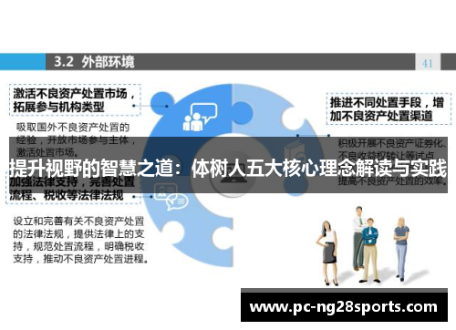 提升视野的智慧之道:体树人五大核心理念解读与实践 提升视野的智慧之道:体树人五大核心理念解读与实践