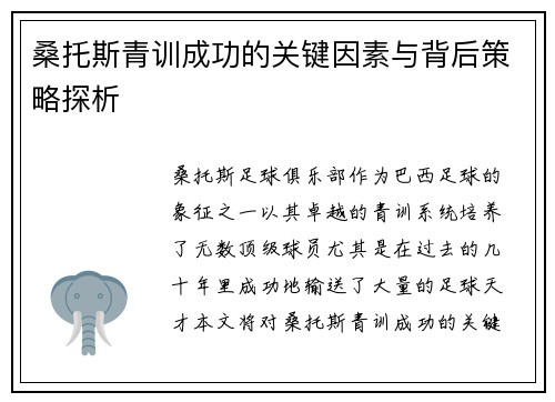 桑托斯青训成功的关键因素与背后策略探析